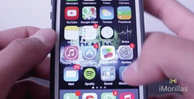 Consultoría SEO y Web a través de WhatsApp